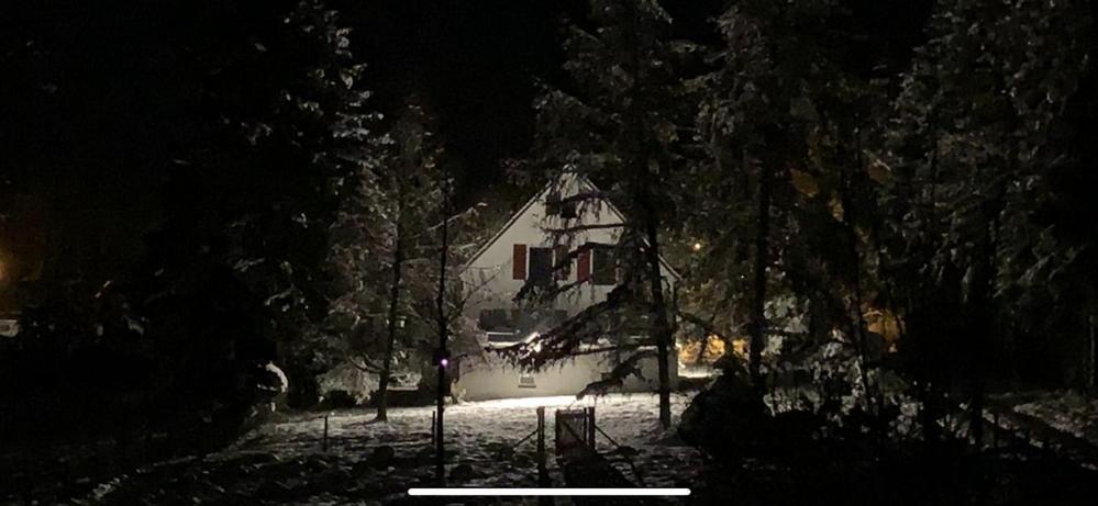 Landhaus Camillas Hoehe Mirbach Eksteriør bilde
